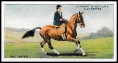 47 The Canter (Woman side saddle)